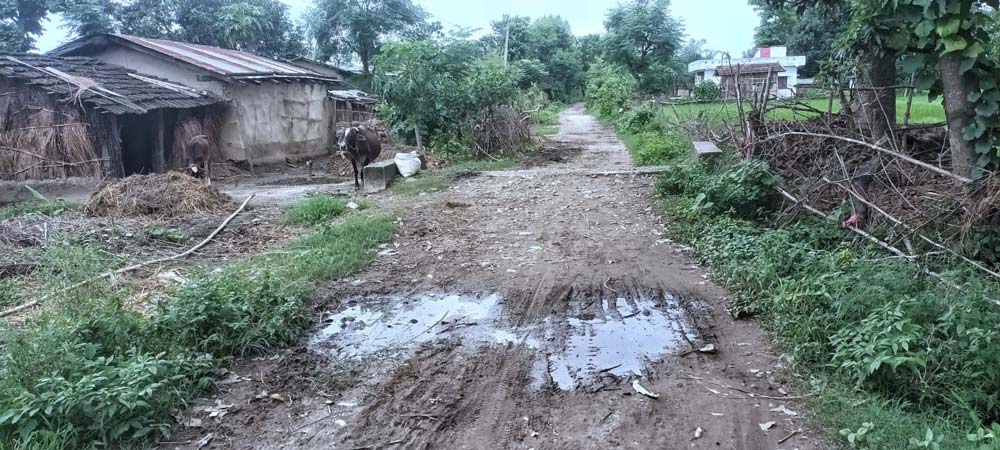 कञ्चनपुरको बेलौरीमा चक्रपथ निर्माणको काम अलपत्र