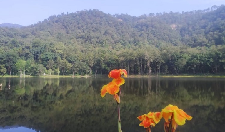 आहा ! आलिताल