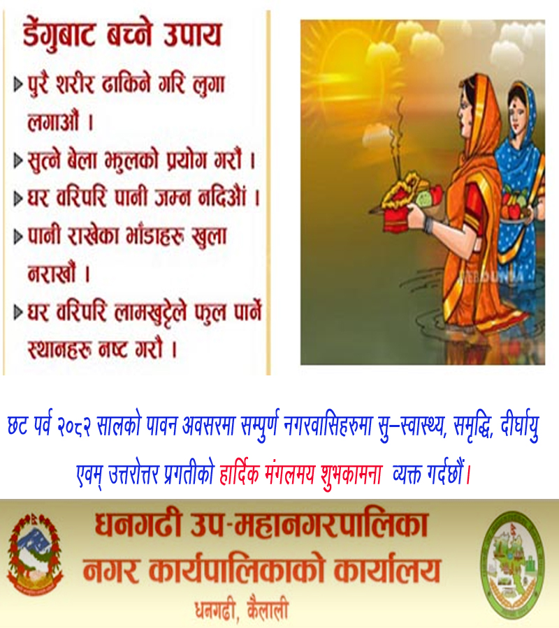dhangadhi Chat