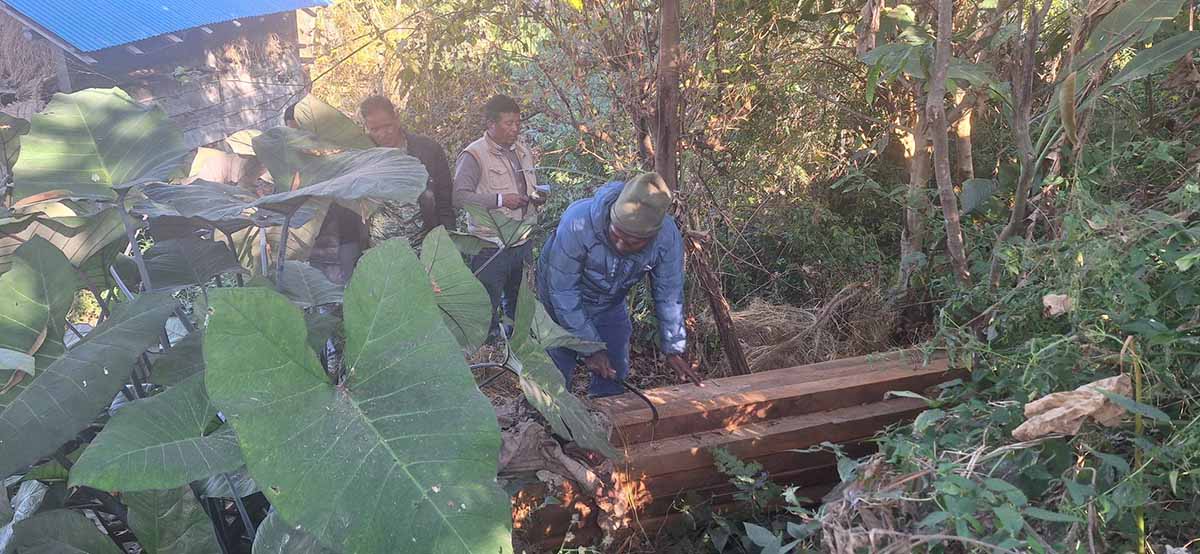 तस्करीको लागि लुकाइएको चुरेबाट काठ बरामद