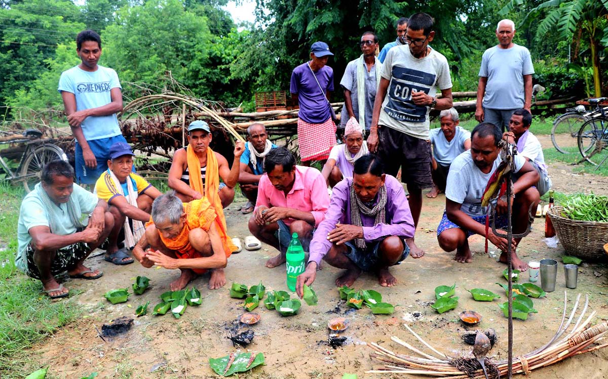 कैलालीमा सर्पदंशको उपचार गर्न नगहर गुरुवाको भर