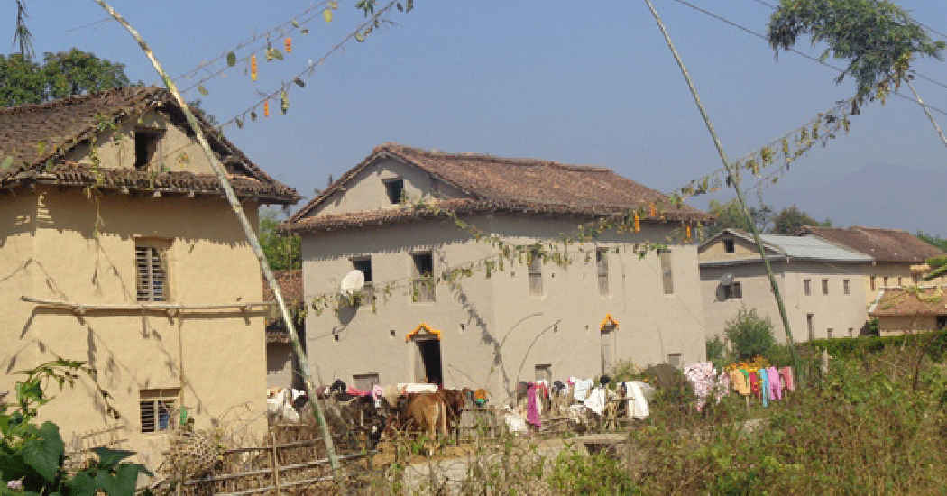 दसैँका लागि कञ्चनपुरका थारु समुदाय  घर सजाउँदै