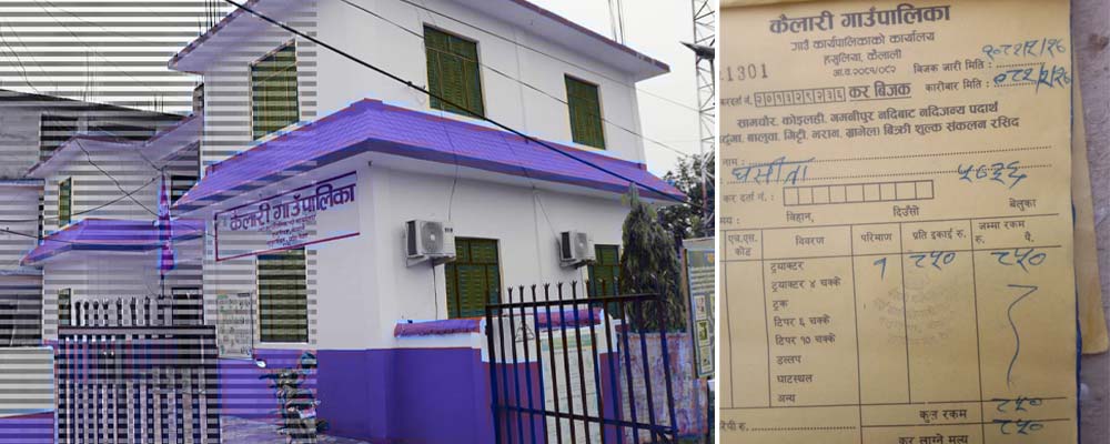 कैलारी गाउँपालिकाको रोयल्टी हिनामिनाको छानबिन गर्दै अख्तियार