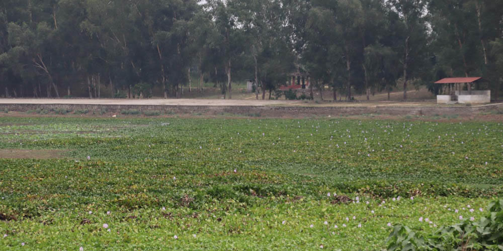 पाँच करोडको लगानीमा बन्धातालमा पूर्वाधार निर्माण गरिँदै