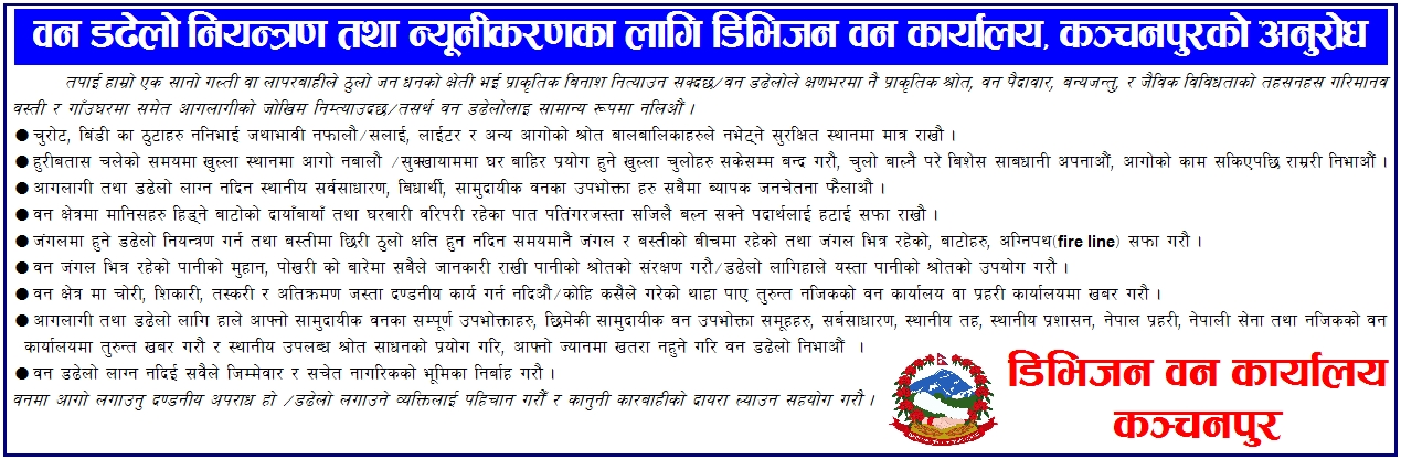Christmas Day dhangadhi