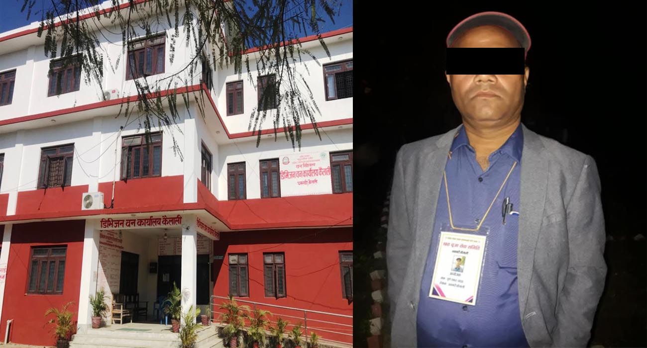 कैलालीका वरिष्ठ वन अधिकृत पूर्णशंकर सवा ७ लाख बढी घुससहित पक्राउ