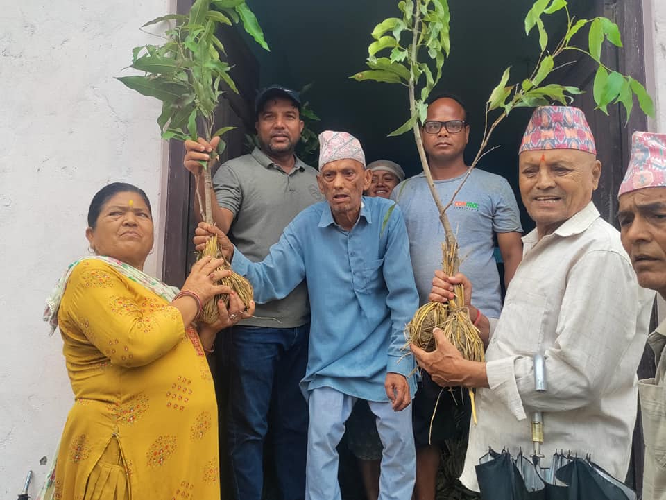 धनगढीको वडा नम्बर ३ ले गर्यो फलफुलका बिरुवा बितरण