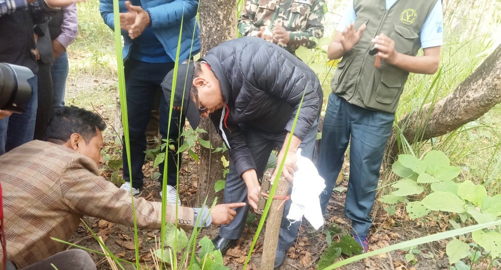 शुक्लाफाँटा राष्ट्रिय निकुञ्जमा बाघ गन्न राखेका ५ क्यामरा चोरी