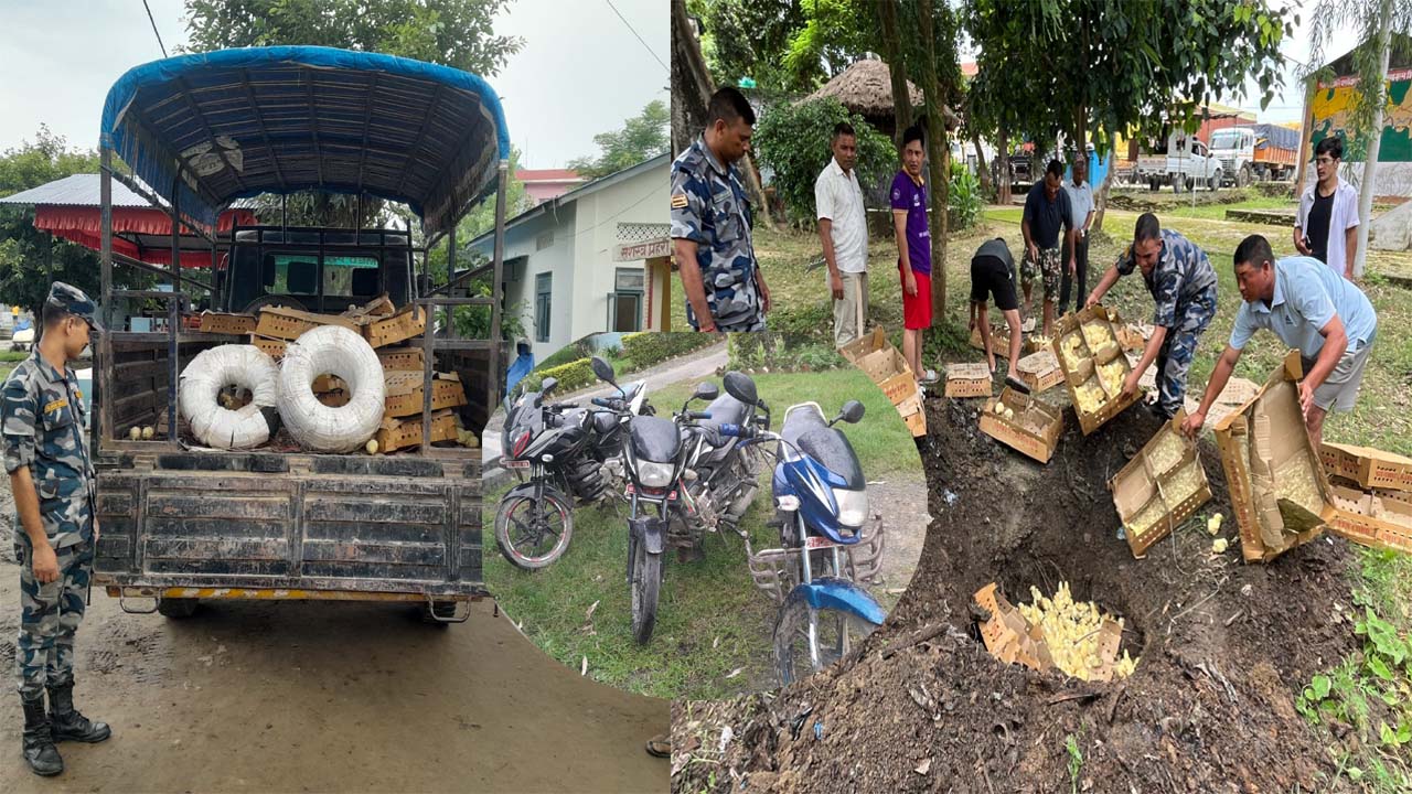 सशस्त्र प्रहरी द्धारा कैलारीबाट ५ लाख बढीको अबैध चल्ला सहित २ जना पक्राउ