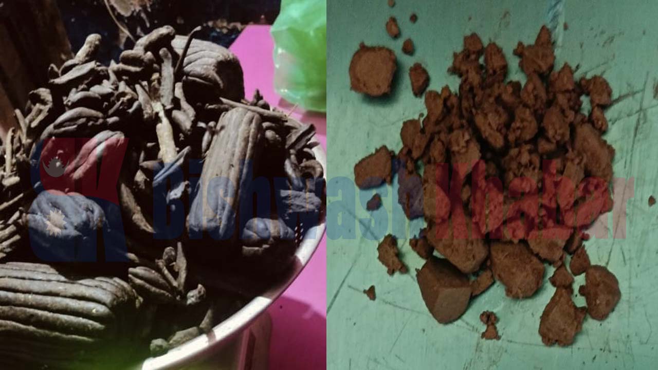 कैलालीबाट लागूऔषधसहित पाँच जना पक्राउ