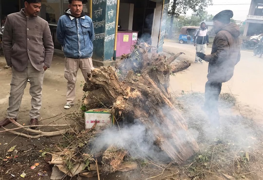 चिसो बढेपछि कैलालीको टीकापुरमा दाउरा वितरण