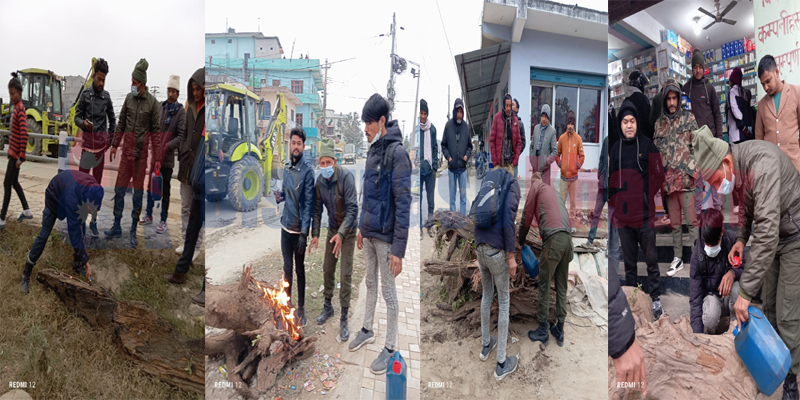 चिसो बढ्न थालेपछि धनगढीमा निःशुल्क दाउरा वितरण