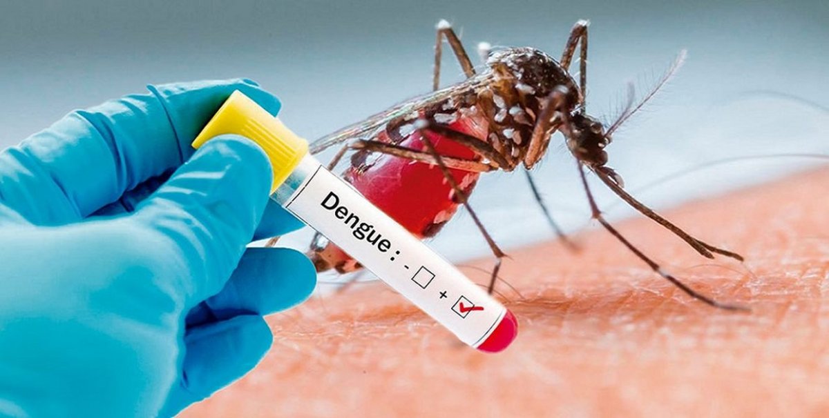 डेंगी संक्रमणका कारण सुदूरपश्चिममा ३ जनाको मृत्यु, परीक्षण गर्ने किट अभाव