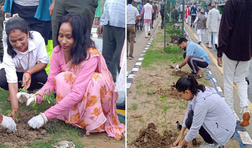 धनगढीमा एकैपटक करिब १८ सय बिरुवा रोपिए