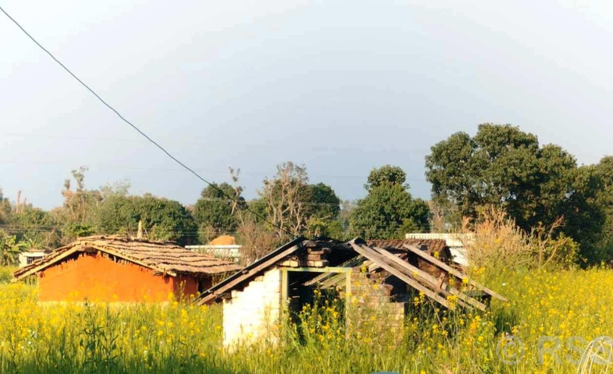 कञ्चनपुरको गुन्यालफाँटाका दुई दर्जन बढी बादी परिवारका घरमा ताला