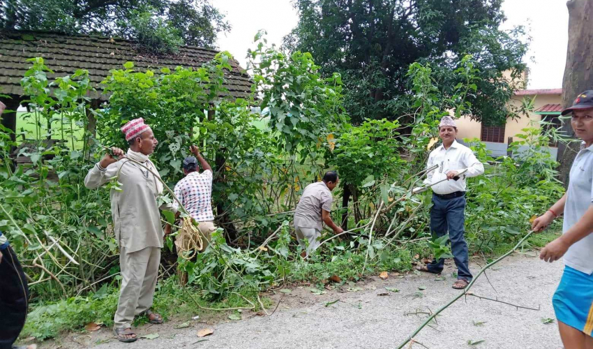 कञ्चनपुरको मुक्त हलिया परिवारलाई दसैं खर्च जुटाउने पिरलो