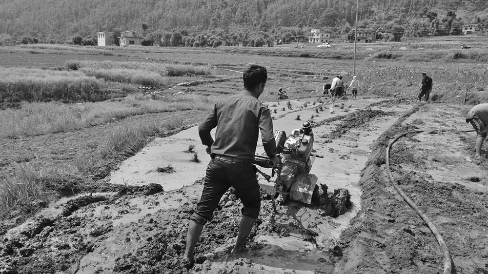 प्रविधिमैत्री बन्दै सुदूरपश्चिमका पहाडका किसान