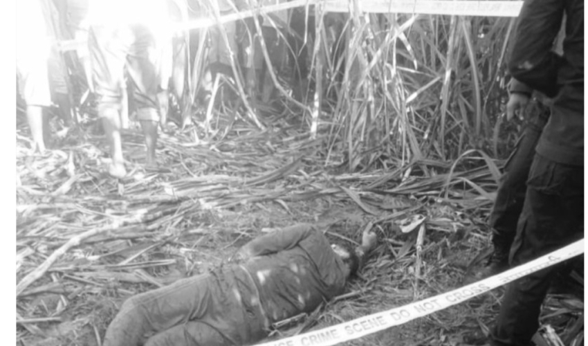 कञ्चनपुरमा जङ्गली हात्तीको आक्रमणबाट नौ वर्षमा १७ जनाको मृत्यु