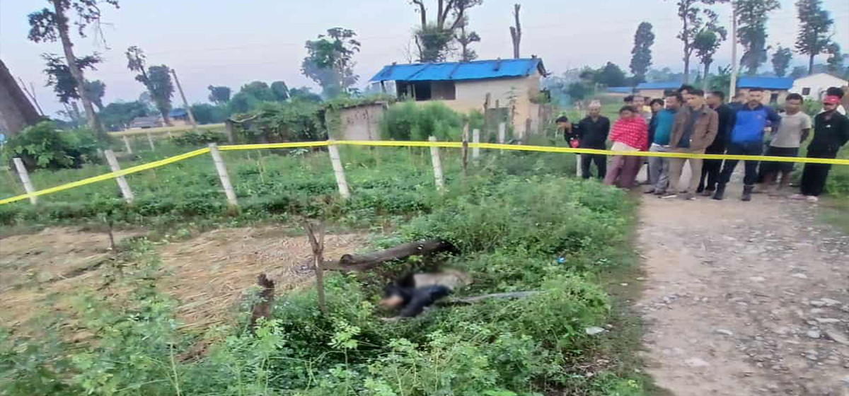 कैलालीमा श्रृखलाबद्ध अपराधः सातामै त्रासदीपूर्ण आक्रमणका ३ घटना
