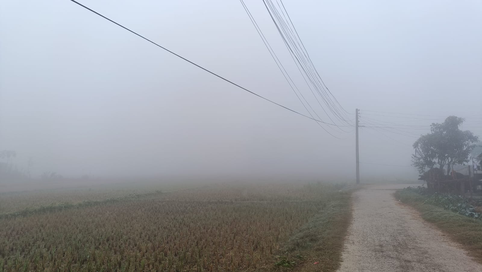 कैलालीसहित तराईका जिल्लामा कात्तिकमै बाक्लो हुस्सु