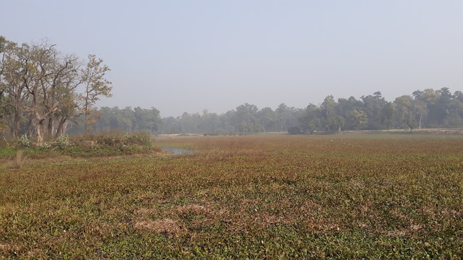 जाखोरतालबाट लागुऔषधसहित २ जना पक्राउ