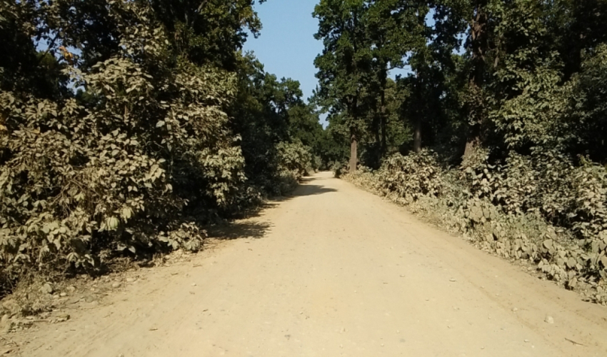 निर्माण कम्पनीले ढिलासुस्ति गर्दा अझै कालोपत्र हुन सकेन बेलौरी–कलुवापुर सडक