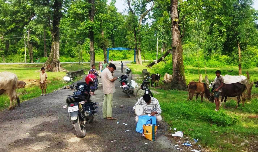 कैलालीका एक लाख बढी पशुलाई खोरेत रोगको खोप