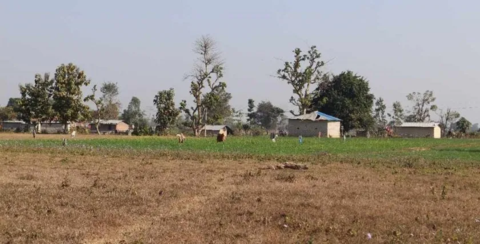 माटोको मायाले सीमामा सङ्घर्ष गर्दै कञ्चनपुरका बडुवाल टोलवासी