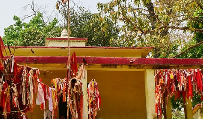 कैलालीको घोरीघोरामा पहिलो पटक सरकारी लवाङ्गी पूजा हुँदै