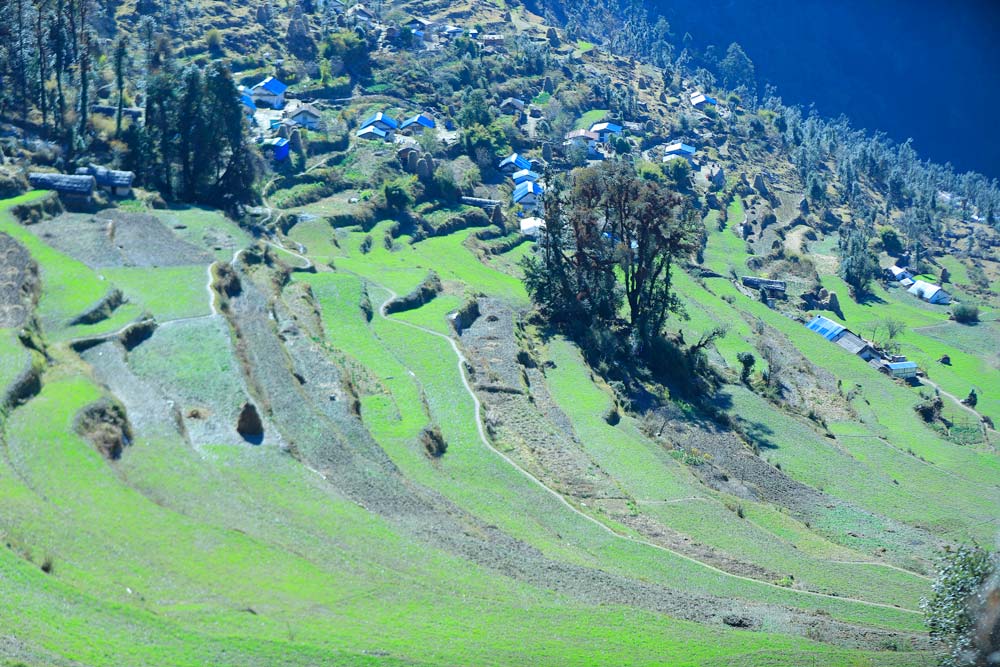 बझाङको मजिउन वासीको पीडा : सिटामोल लिन एक दिनको पैदल