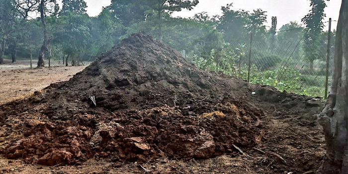 प्राङ्गारिक मलको प्रयोगले माटोको उर्वराशक्ति बढ्यो