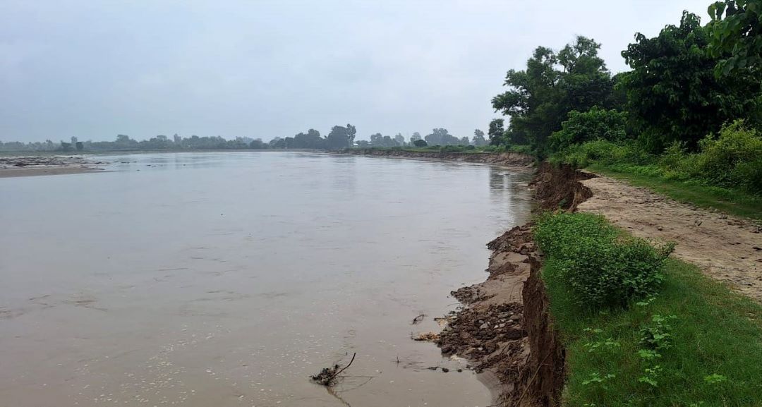 कैलालीमा मोहना नदीको कटानले खेतीयोग्य जमिन सखाप हुँदै, किसान चिन्तित