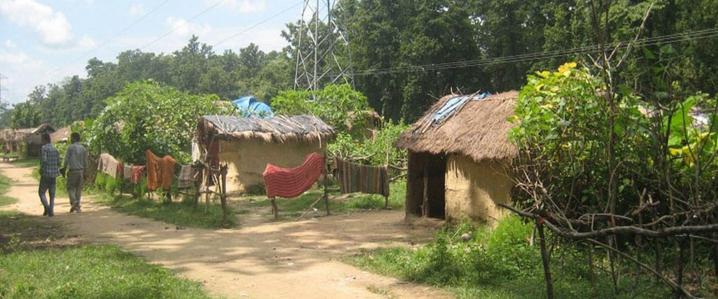 स्थानीय तहले चासो नदिदा कञ्चनपुरमा मुक्त हलिया पुनर्स्थापना अलपत्र