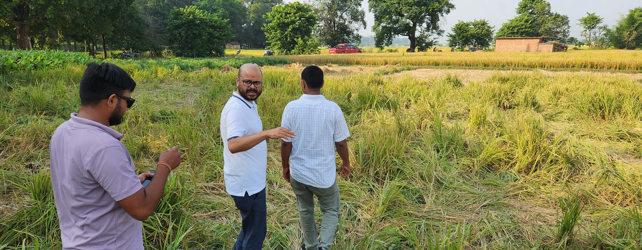 कञ्चनपुरको कृष्णपुर स्थित चपरतलामा हात्तीले भत्कायो स्थानीयका घर