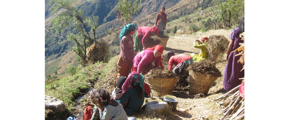 छोरीलाई पोर्सो बोकाउँदा पाप लाग्छ