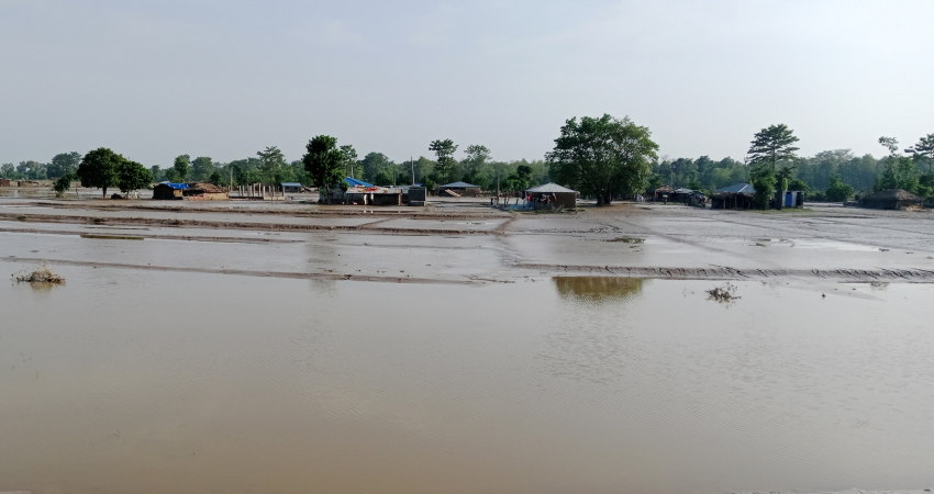 कञ्चनपुरको पटेरा खल्ला बासीलाई बर्सेनी बाढीकै त्रास