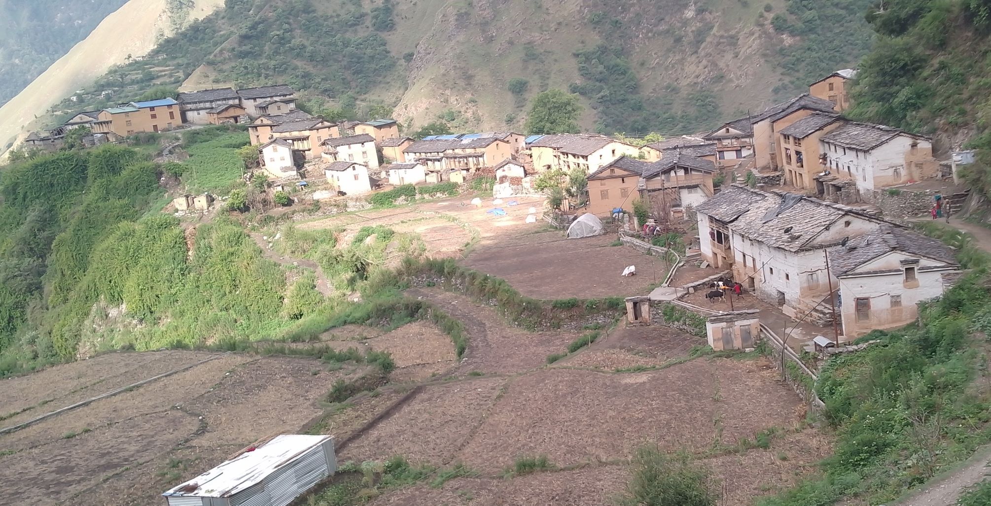 आँगनमा सिँचाइ कुलो निर्माण हुँदा खुसी बाजुराको पाडीबासी