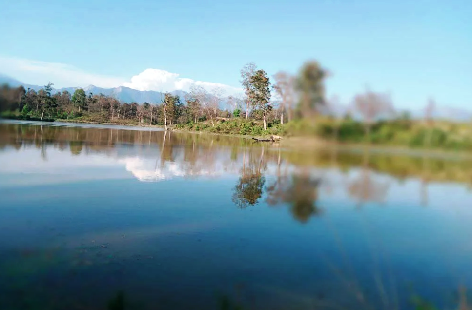 कैलालीको भजनीमा रहेको ऐतिहासिक पुरैनाताल स्थानीयवासीको अतिक्रमणमा