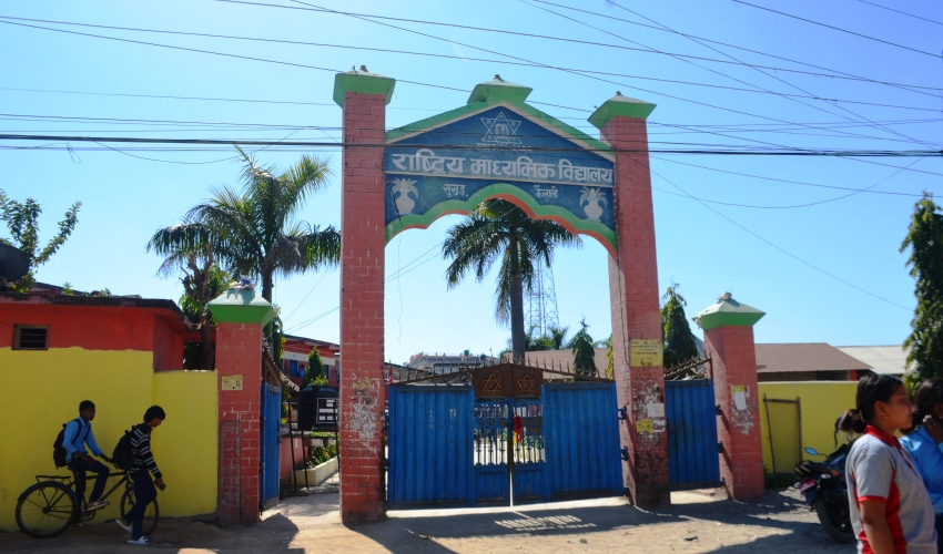कैलालीमा रुख भाँचिदा पूर्व क्याम्पस प्रमुख भण्डारी घाइते