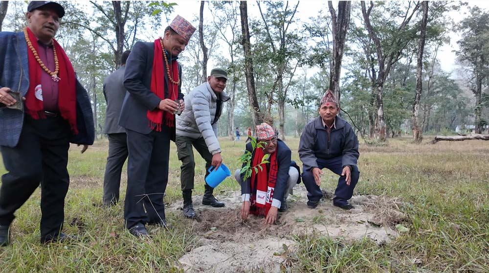 डडेलधुराको परशुरामधाममा रुद्राक्षका बिरुवा रोपण