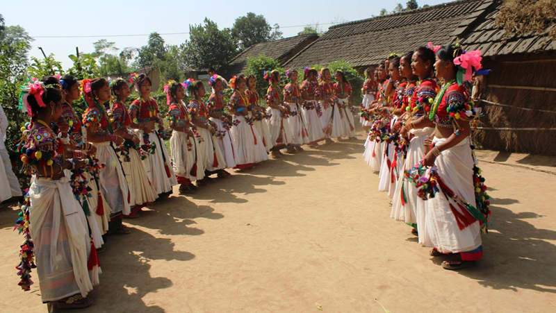 सखिया नृत्यः जनचेतना छर्दै थारू समुदायका किशोरकिशोरी