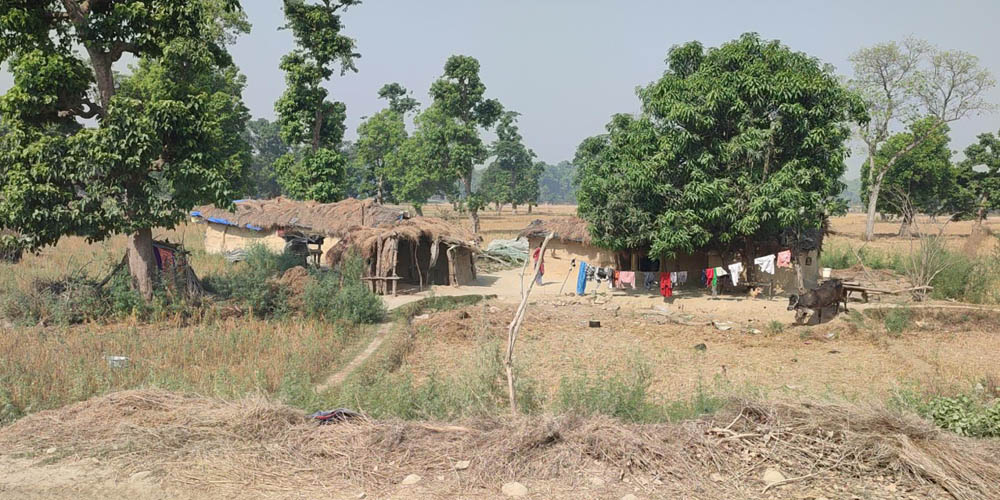 चौबीस वर्षदेखि न्यायको पखाईमा शुक्लाफाँटा आरक्ष विस्थापित