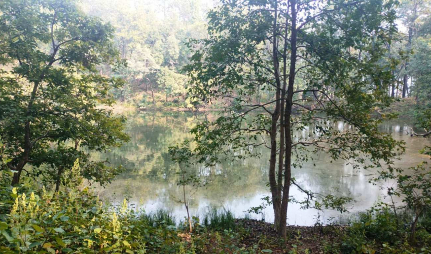 प्रचारप्रसारको अभावमा सौन्दर्यले भरिपूर्ण सुनदेवी ताल ओझेलमा