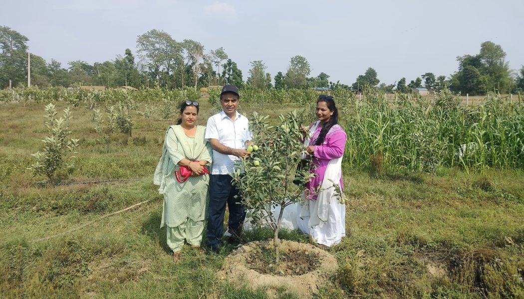 कैलालीमा पहिलो पटक व्यवसायीक रुपमा स्याउ खेती