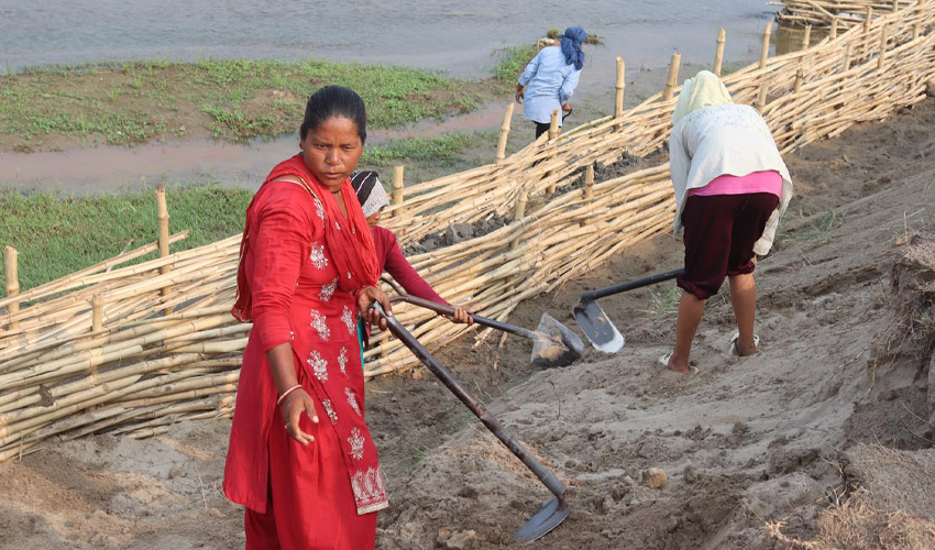 कञ्चनपुरमा भूक्षय नियन्त्रणमा जैविक तटबन्ध प्रभावकारी