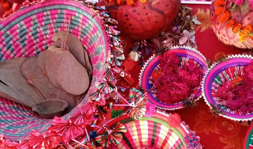 थारु समुदायमा प्रचलित ‘औली उतर्ना पूजा’ लोपोन्मुख अवस्थामा