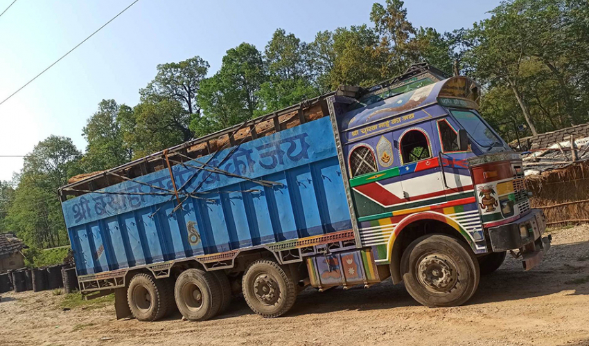 डोटीदेखि आइरहेका सालको काठसहित ६ ओटा ट्रक कैलालीबाट नियन्त्रणमा