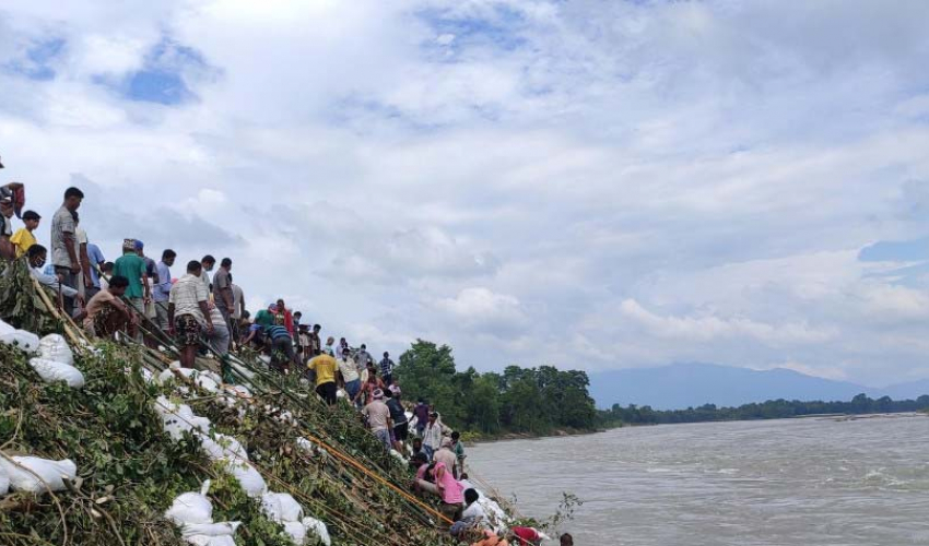 कैलालीको भजनीका स्थानीय द्धारा जनश्रमदानमार्फत जैविक तटबन्ध गर्दै स्थानीय